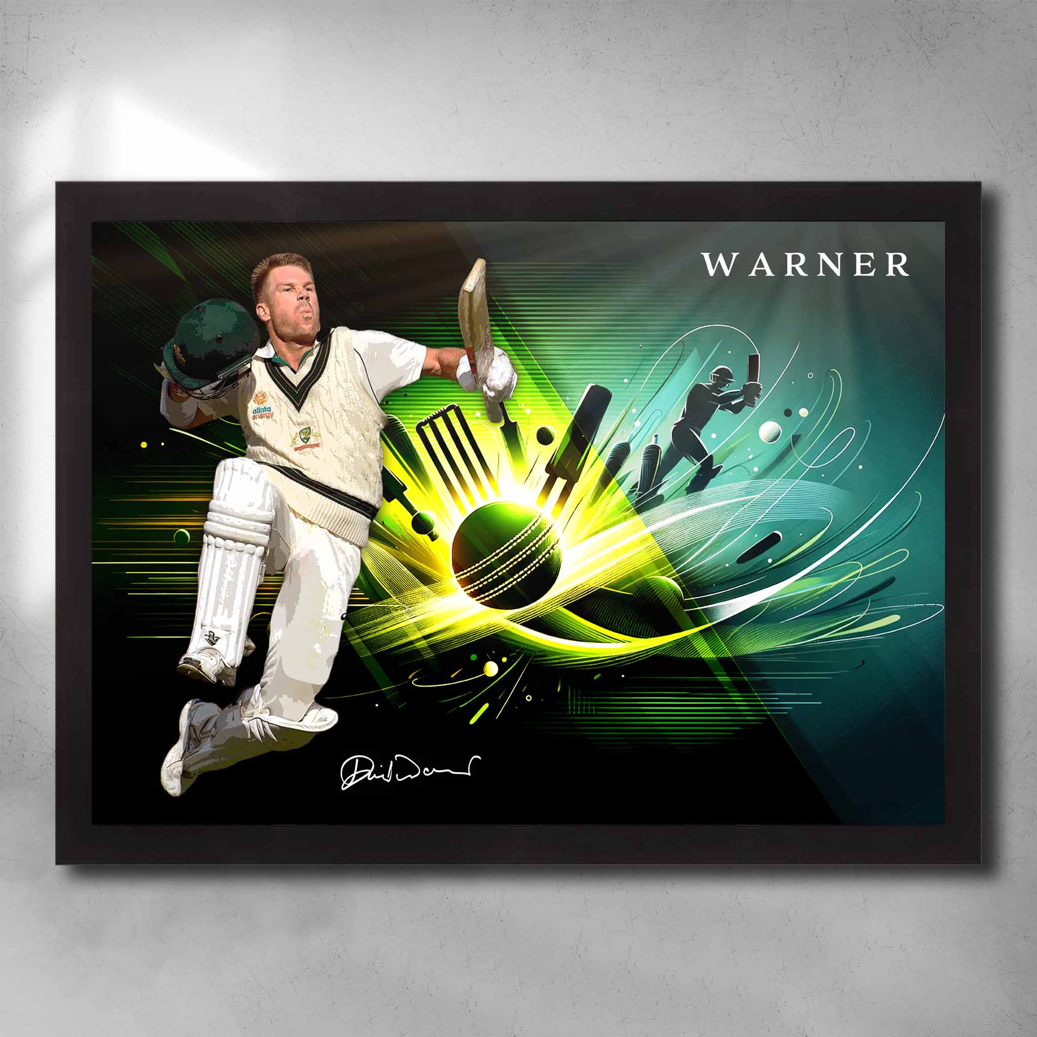 David Warner Cricket Art