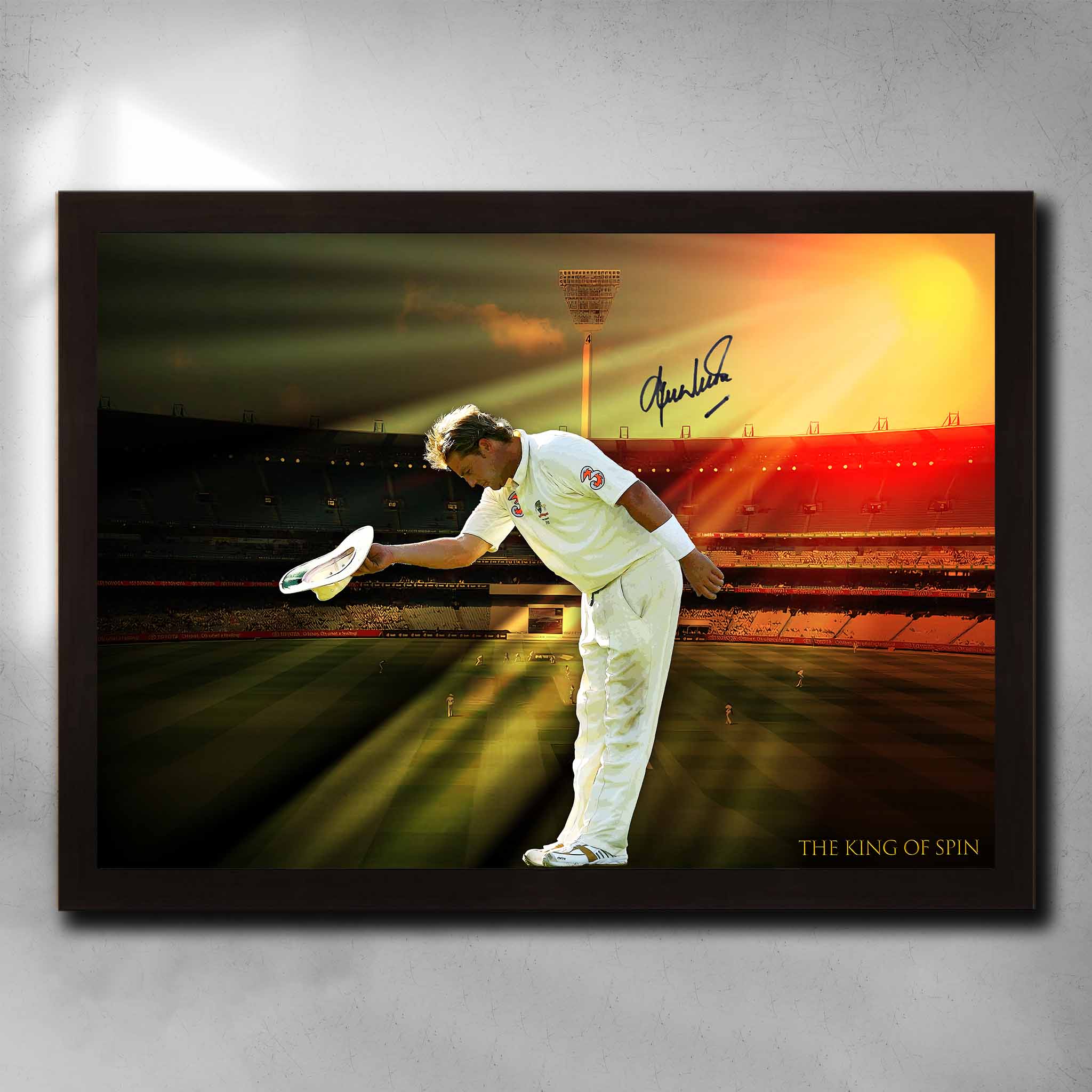 Shane Warne Tribute Art