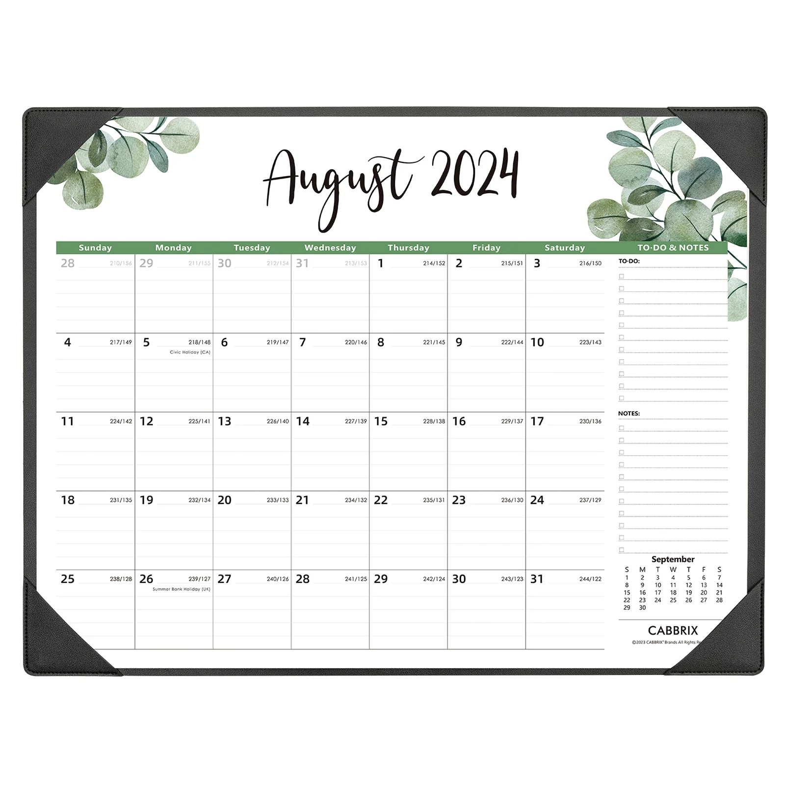 Cabbrix 2024-2025 Desk Calendar, Botanical Elements, Black