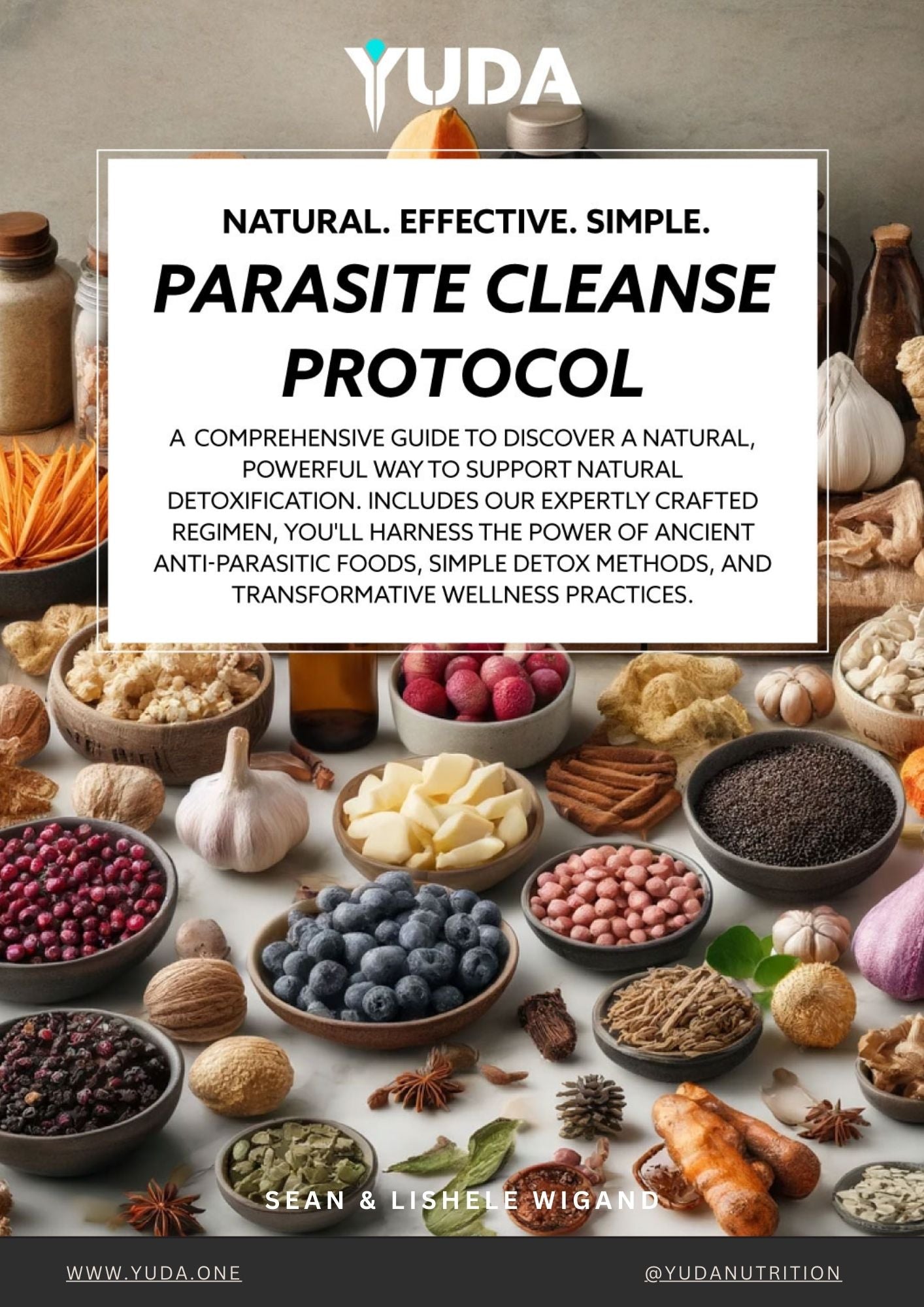 Parasite Cleanse Protocol eBook (28 pages) - Limited Time Offer