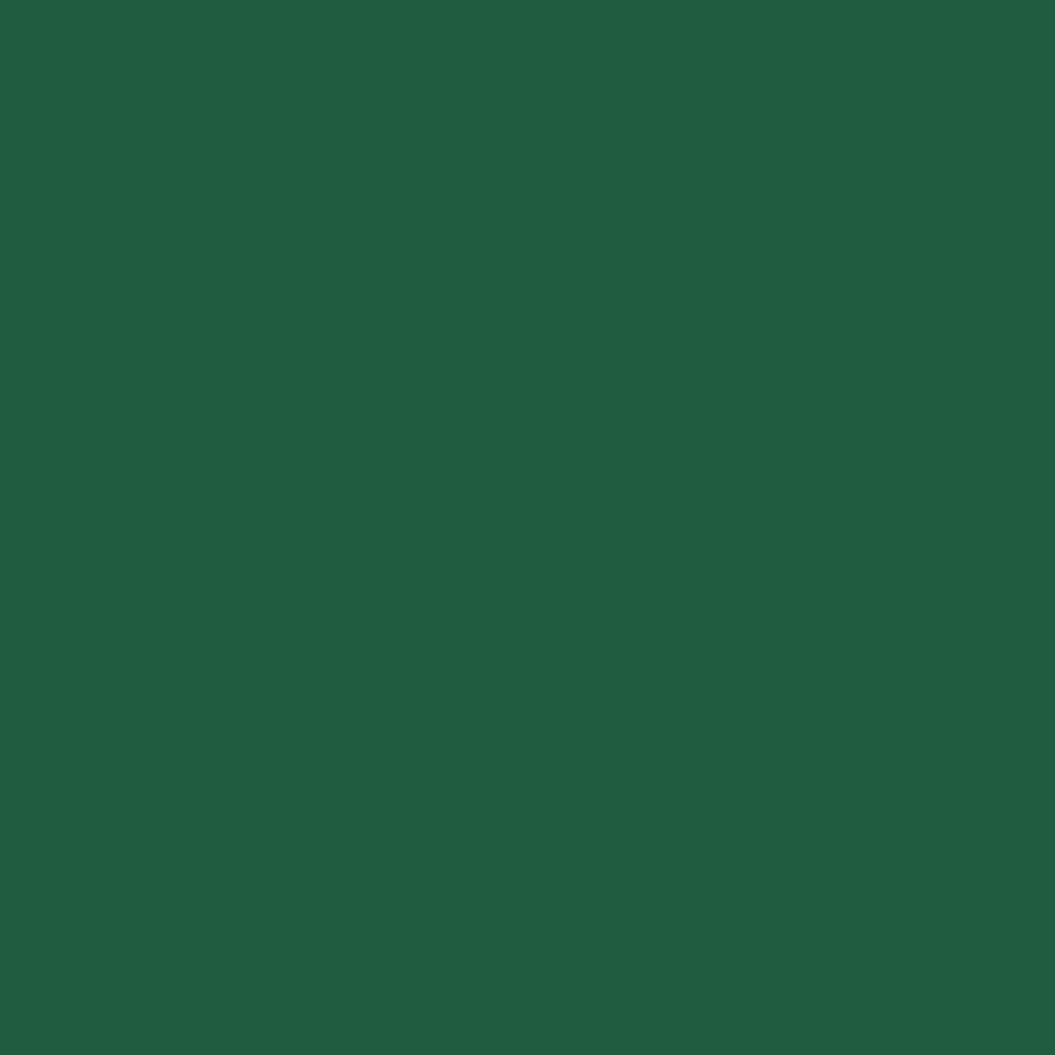EconoV - Green 19.8" x 12"