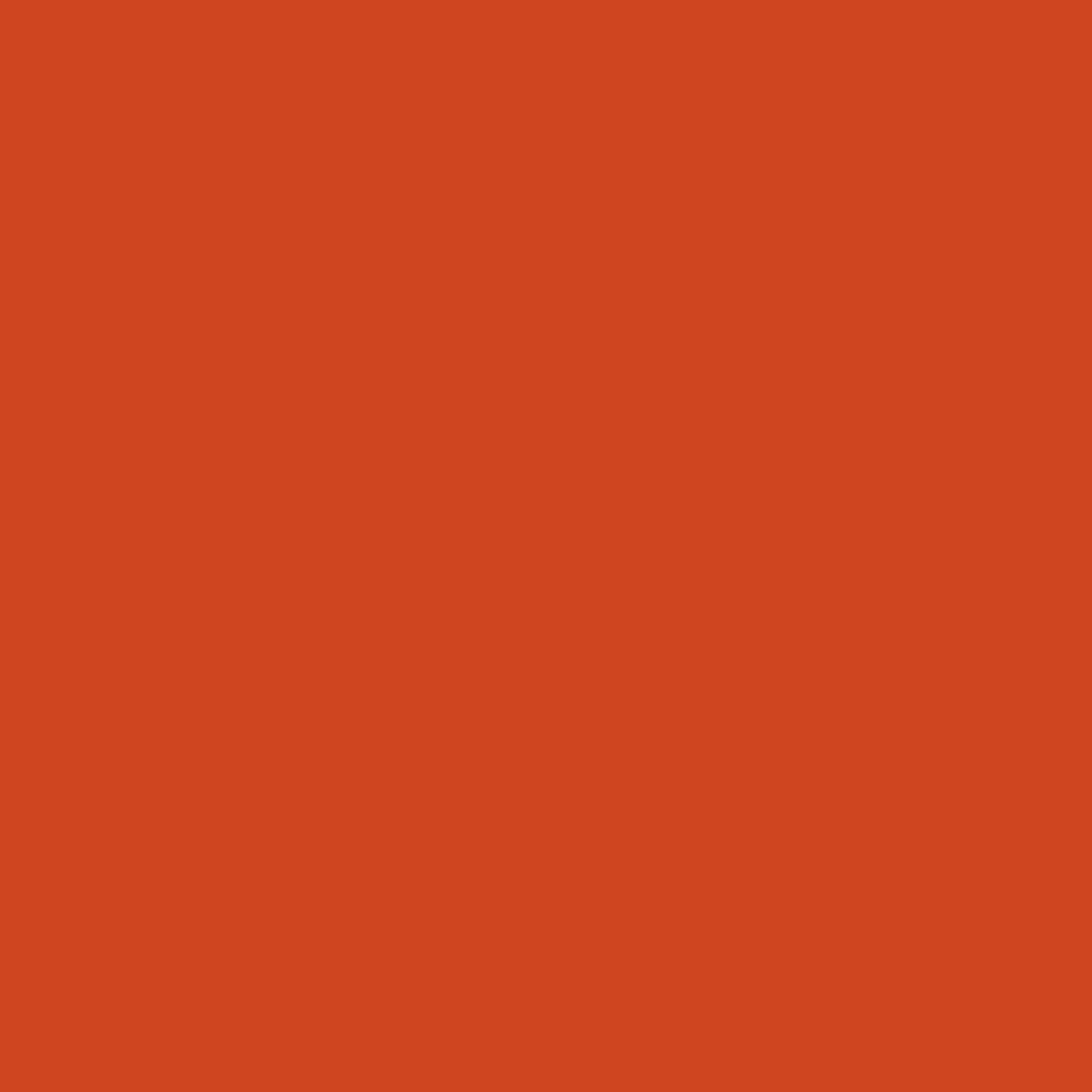 EconoV - Orange 19.8" x 12"