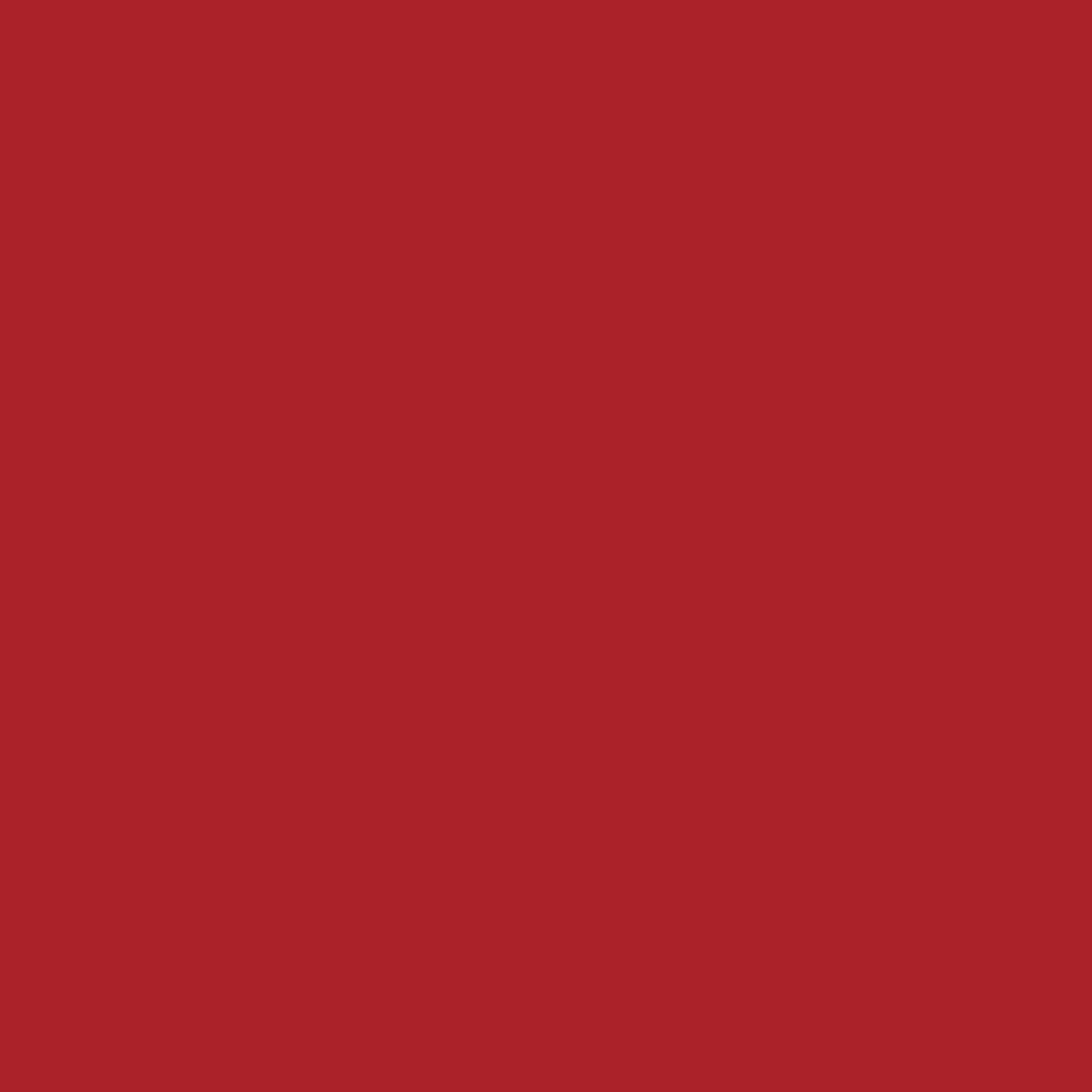 EconoV - Red 19.8" x 12"