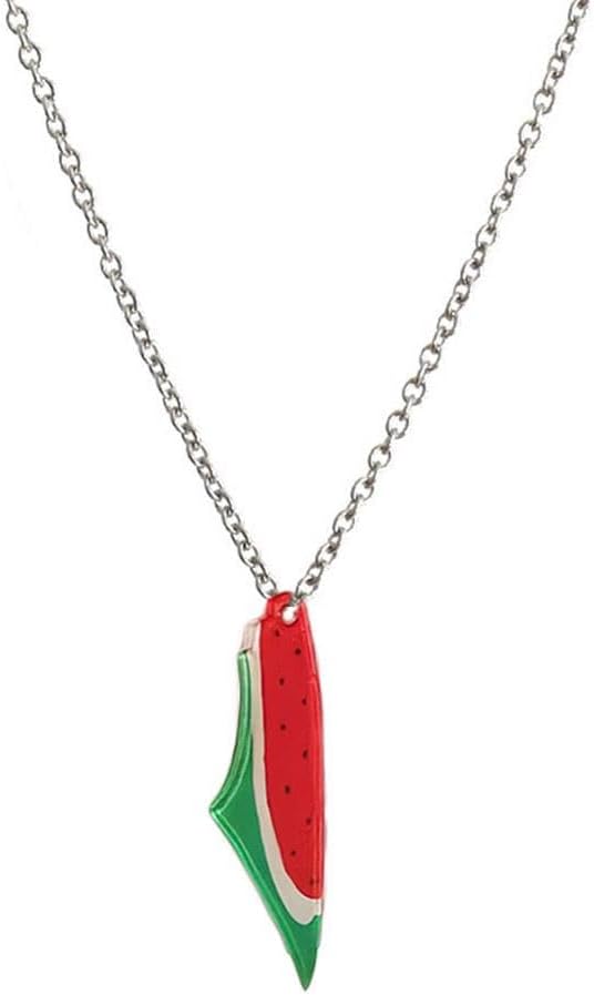 Palestine watermelon silver neckless