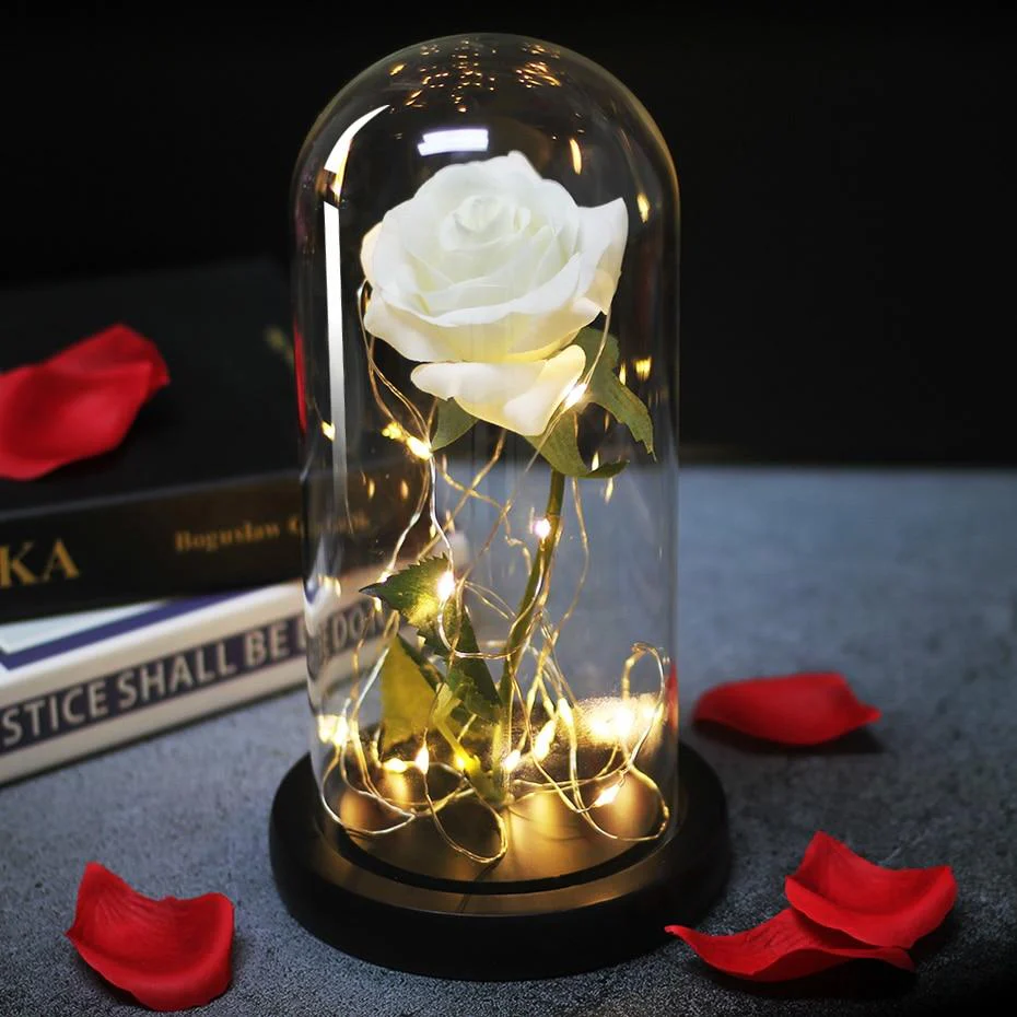 Eternal Rose Under Bell & White LED