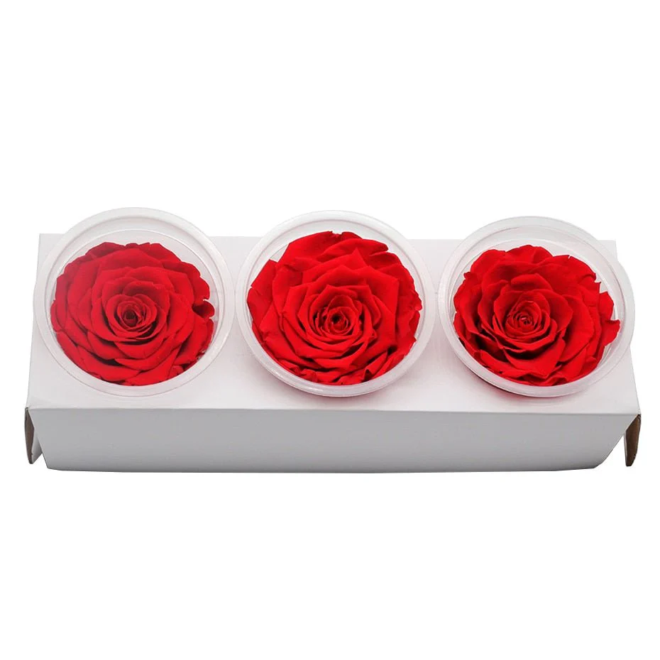 Eternal Roses Red Flower Box (Pack of 3)