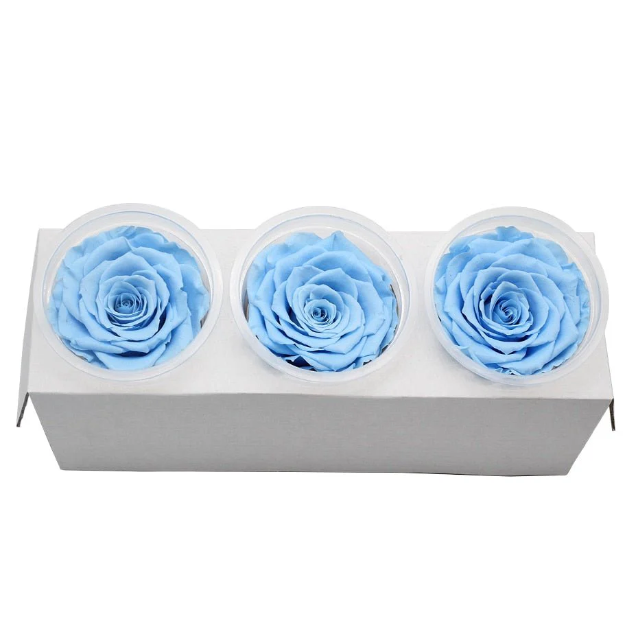 Eternal Roses Blue Flower Box (Pack of 3)