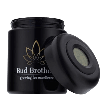 Bud Brothers Humidor 15