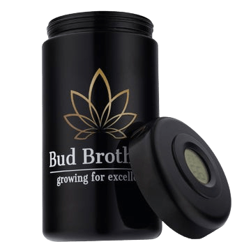 Bud Brothers Humidor 30