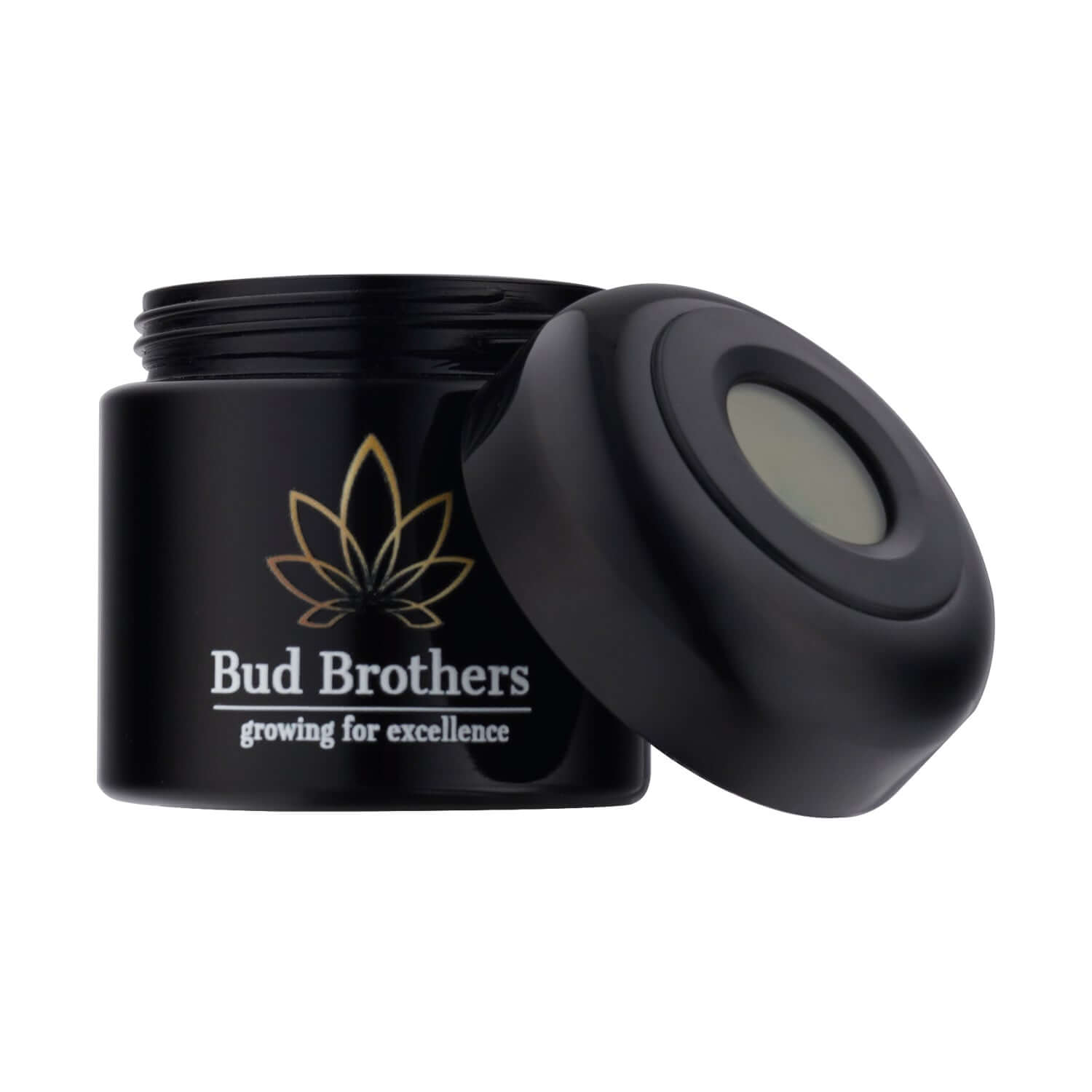 Bud Brothers Humidor 8