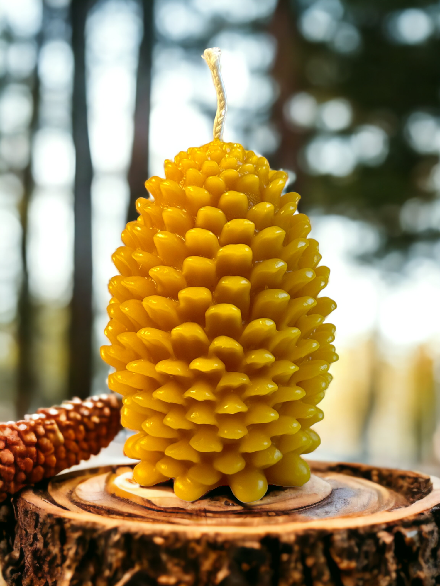 Pinecone Pure Beeswax Candle