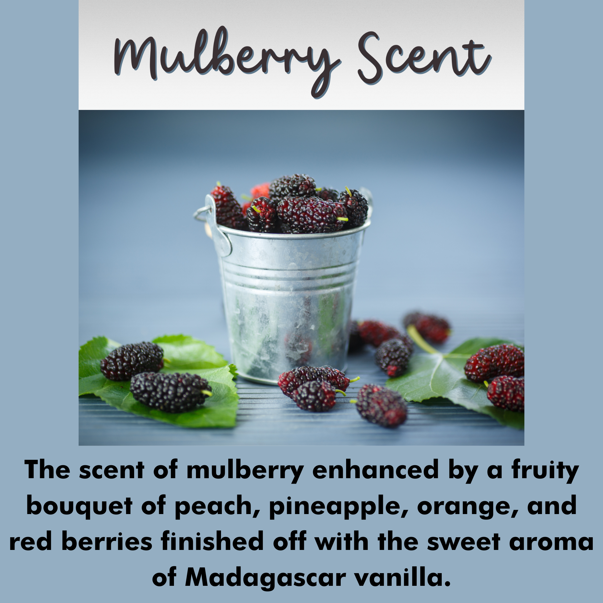 MULBERRY SCENTED - Pure Beeswax Melts for Warmers, (1-PACK)