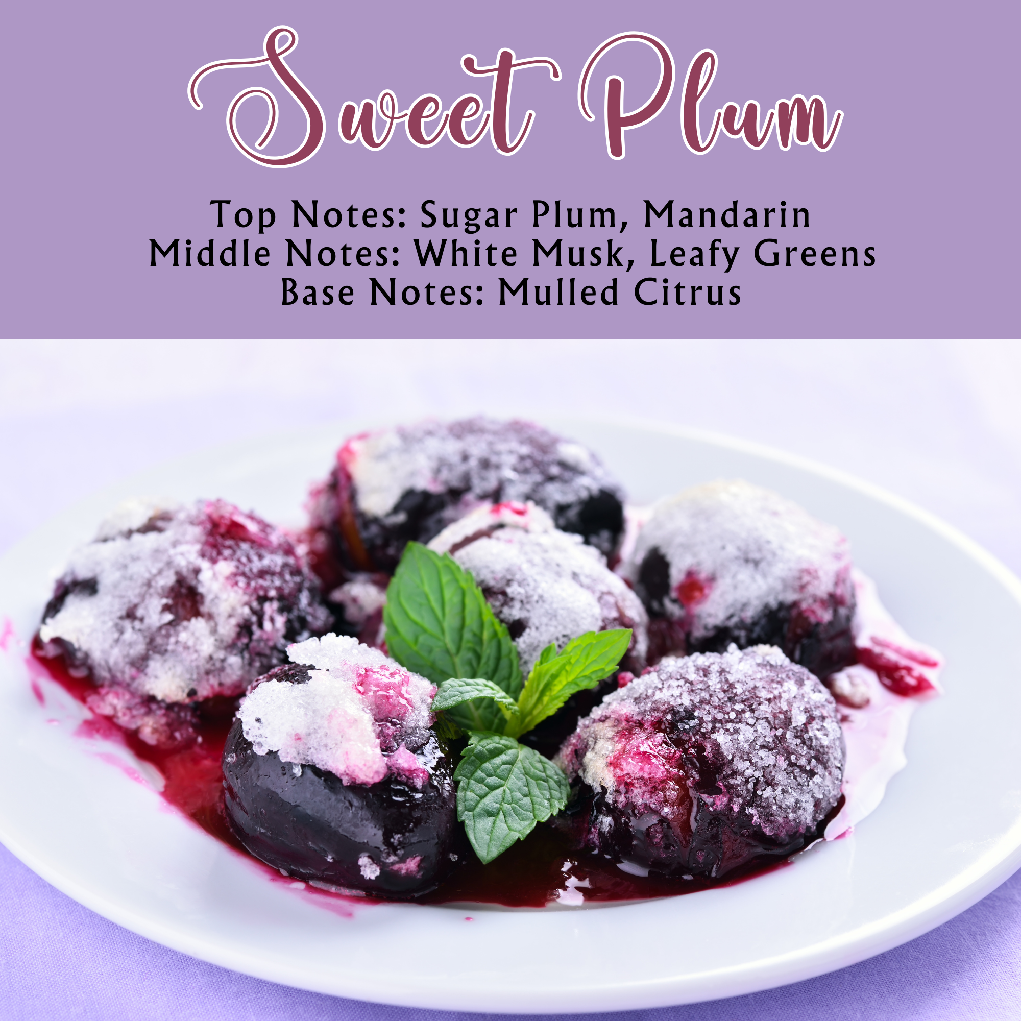Sweet Plum Scented - Pure Beeswax Melts for Warmers (1-PACK)