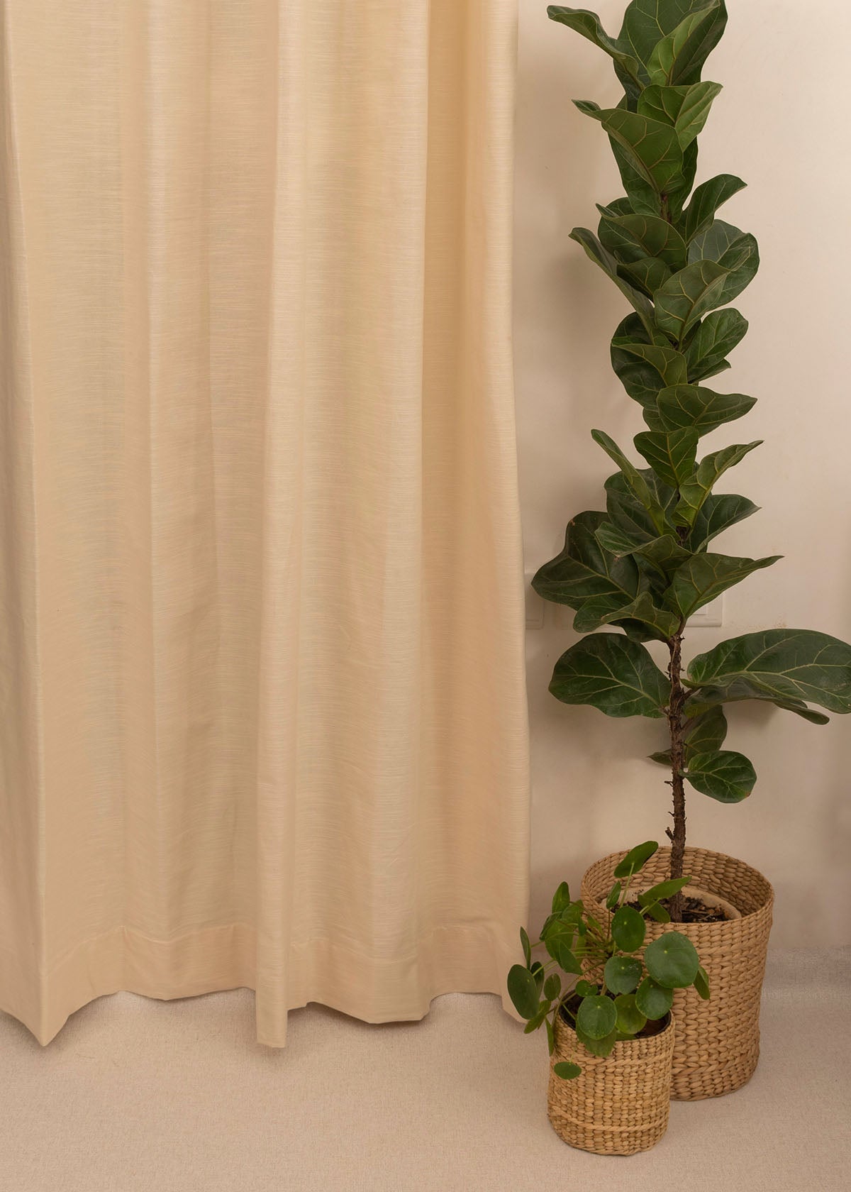 Solid Cotton Curtain - Cream
