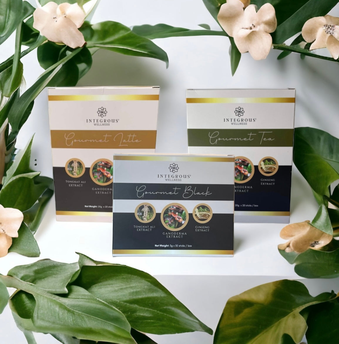 SPRING SALE 10% OFF Savings Bundle Gourmet Coffee/Tea Sampling Kit (3 Boxes of each) $65+ Savings