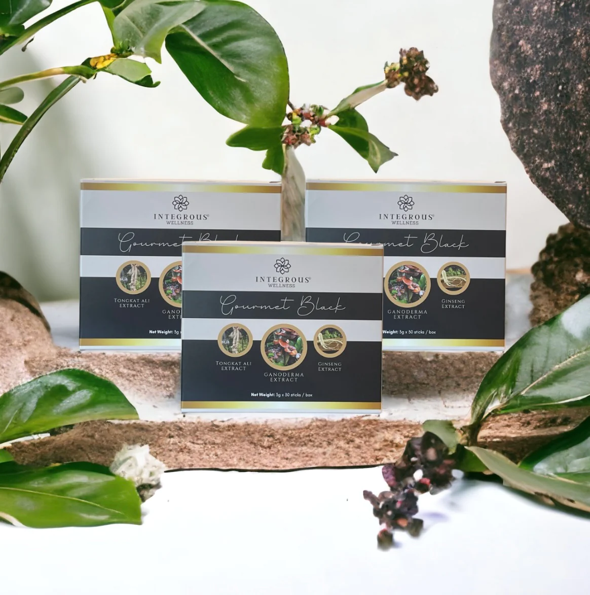 SPRING SALE 10% OFF Savings Bundle Gourmet Black Coffee Sampling Kit (14 boxes) $130 Savings