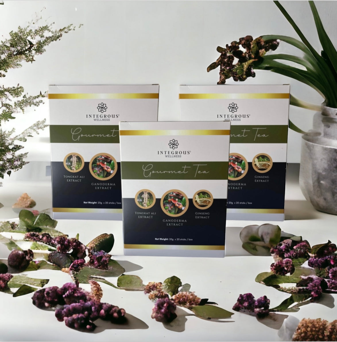 SPRING SALE 10% OFF Savings Bundle Gourmet Tea Sampling Kit (21 Boxes) $130 Savings