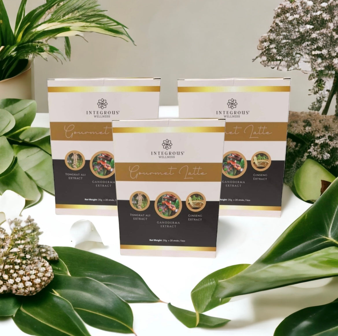 SPRING SALE 10% OFF Savings Bundle Gourmet Latte Coffee Sampling Kit (21 Boxes) $130 Savings