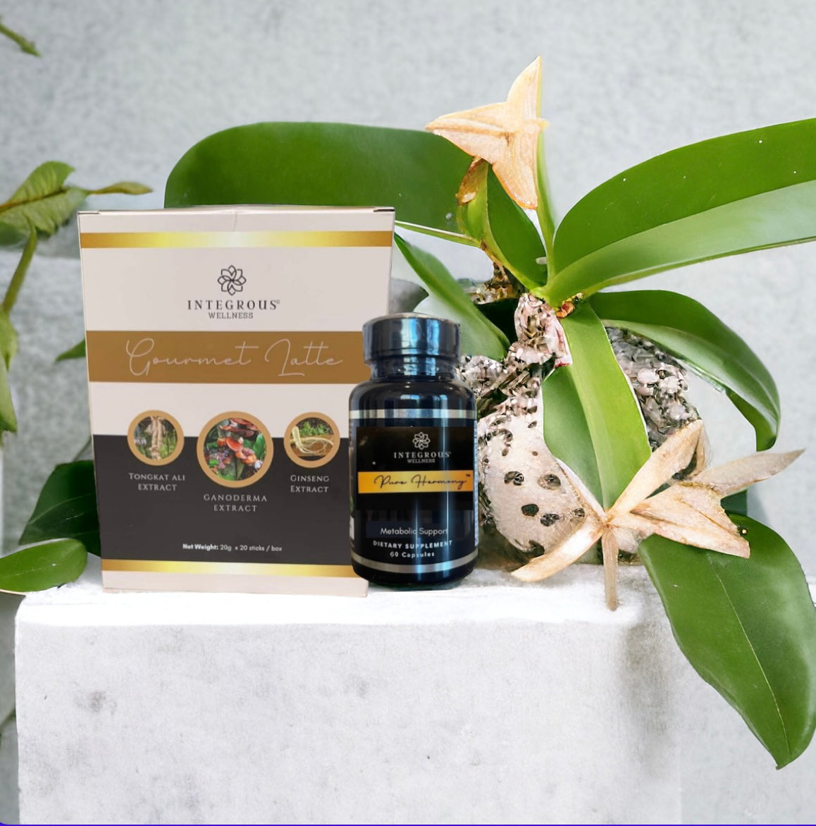 SPRING SALE 10% OFF $129 - Pure Harmony Savings Bundle (Core Basics Kit)