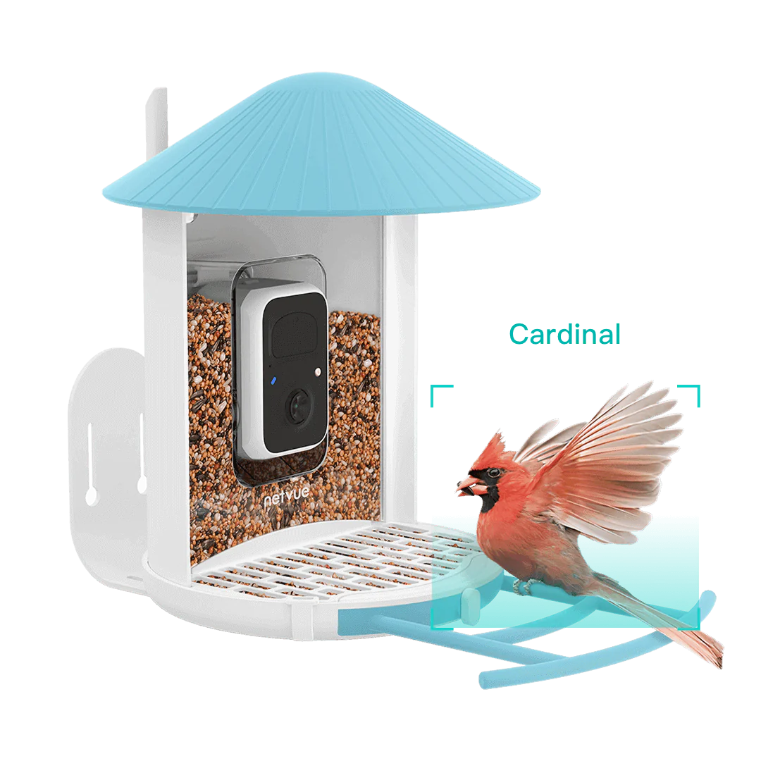 Birdfy Feeder with Seed Guard Set