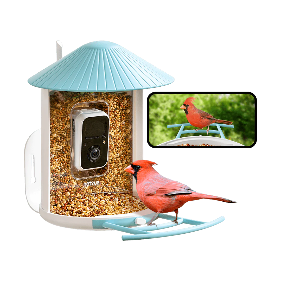 Bird Feeder Camera