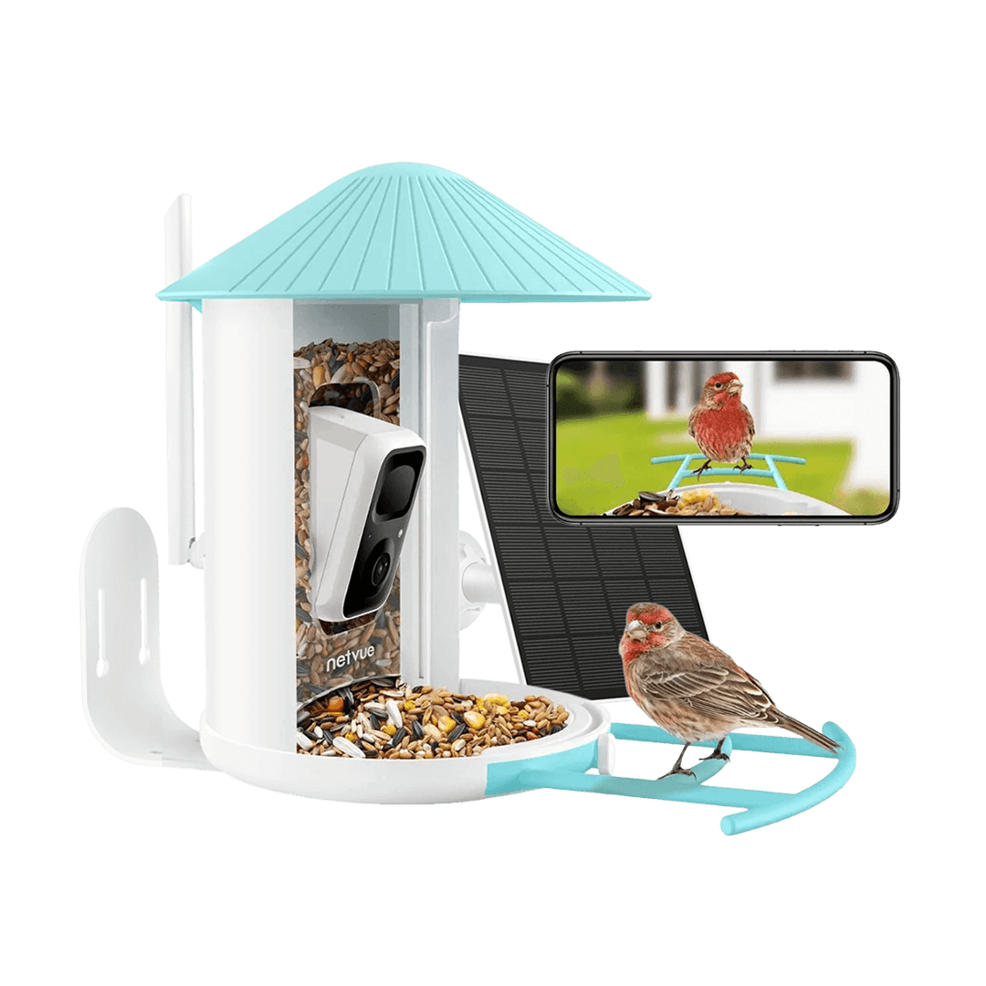 Birdfy Feeder with Solar Panel