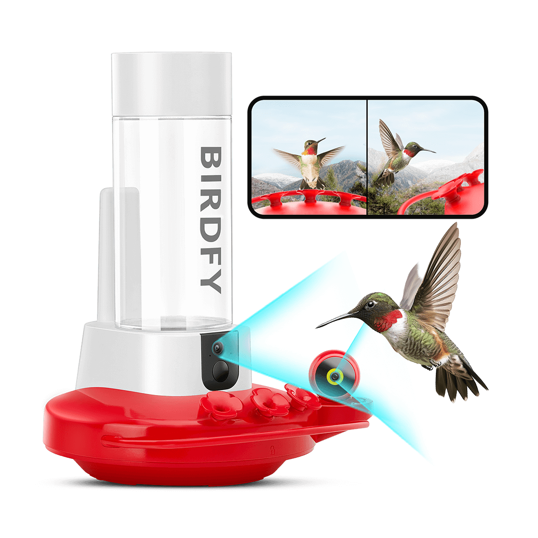 Birdfy Hum Feeder - Hummingbird Feeder with Dual Camera