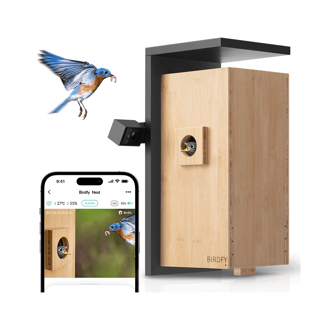 Birdfy Nest - Smart Bird House with Dual Cameras