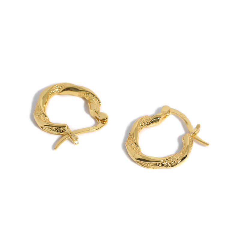 Polished and Textured Twisted Irregular Hoop Earrings