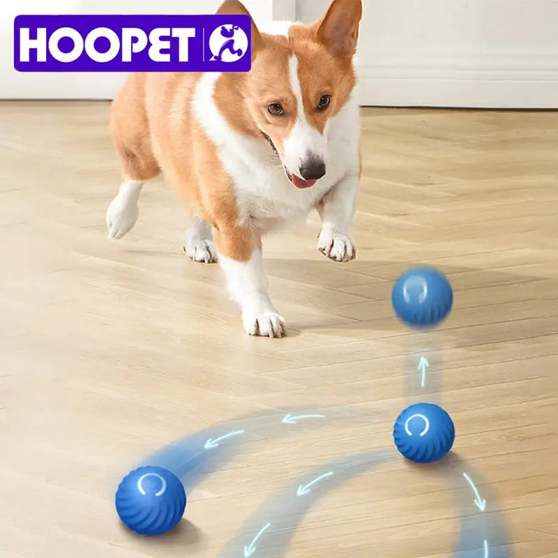 RollingPaws Toy
