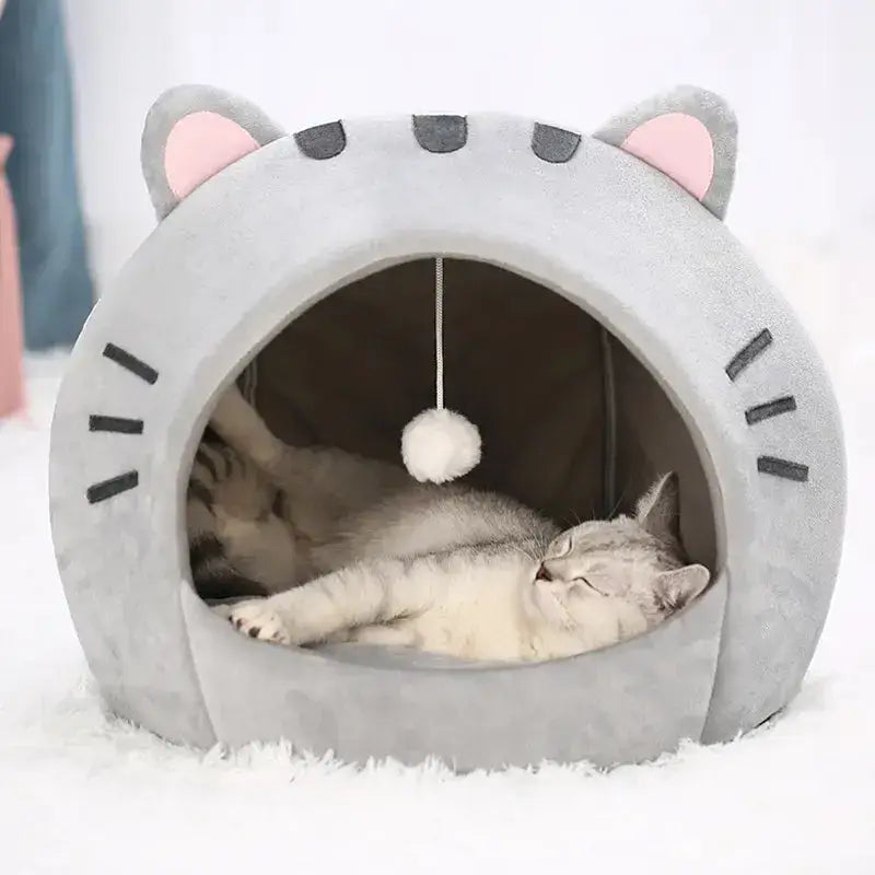 House Kitten Cave