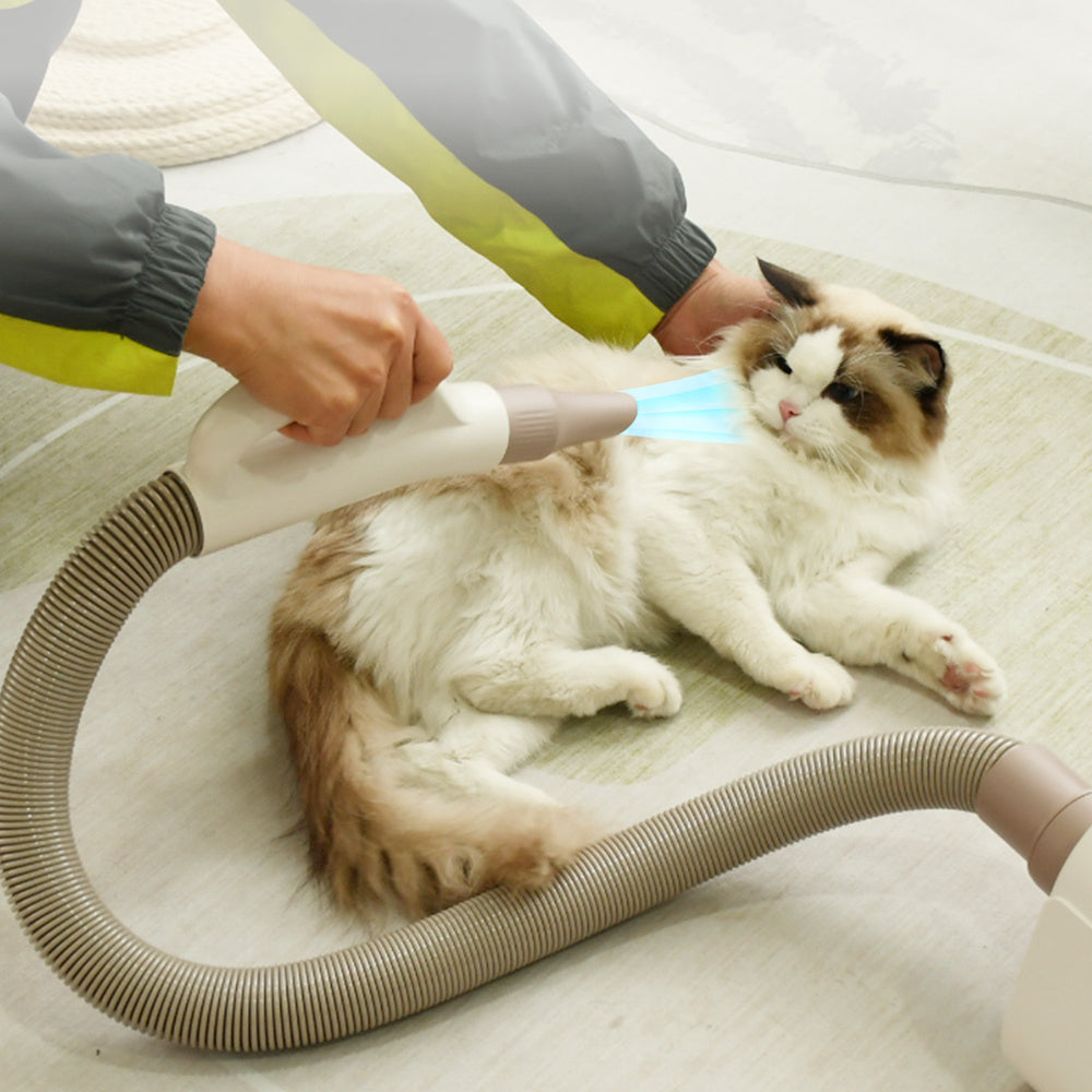 Pet Home Grooming Hair Dryer