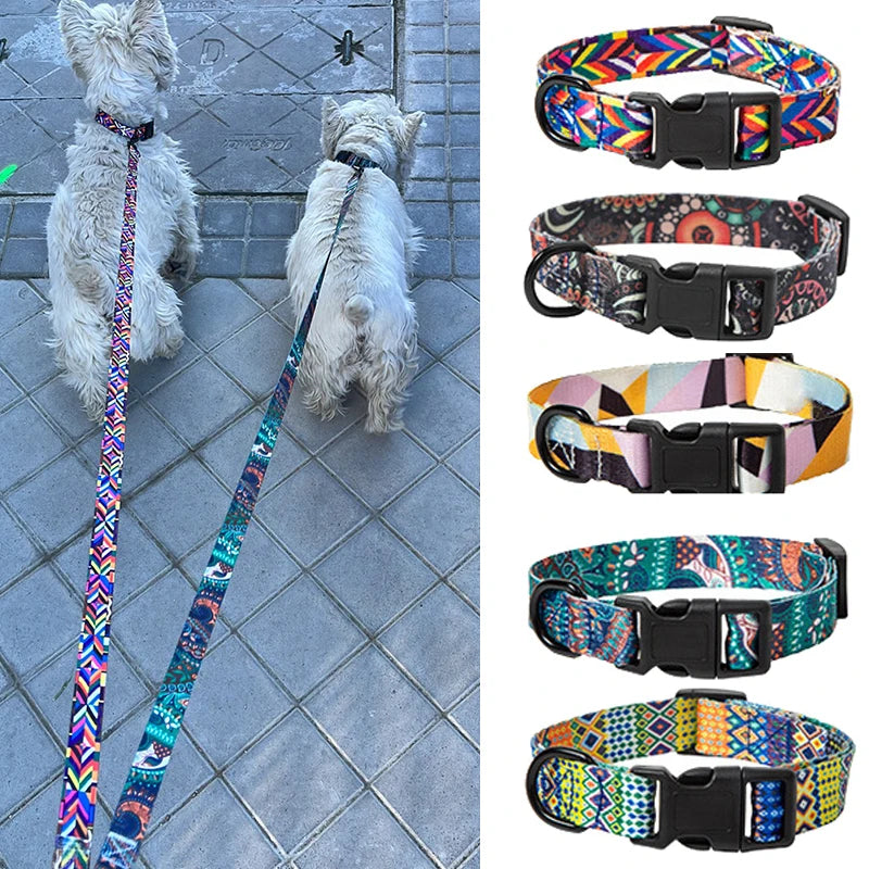 Ensemble collier et laisse réglables pour chiots -