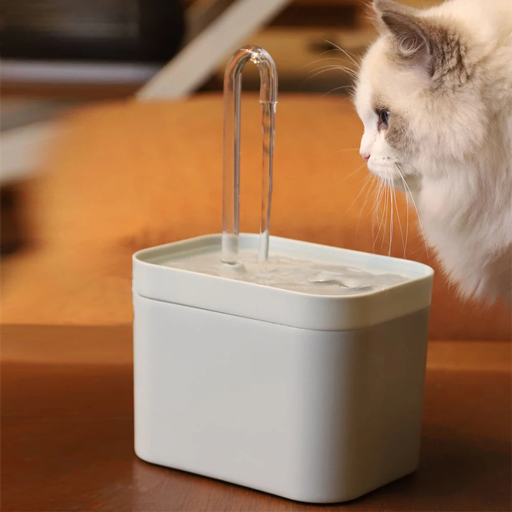 Fontaine à eau ultra-silencieuse pour chat avec filtre