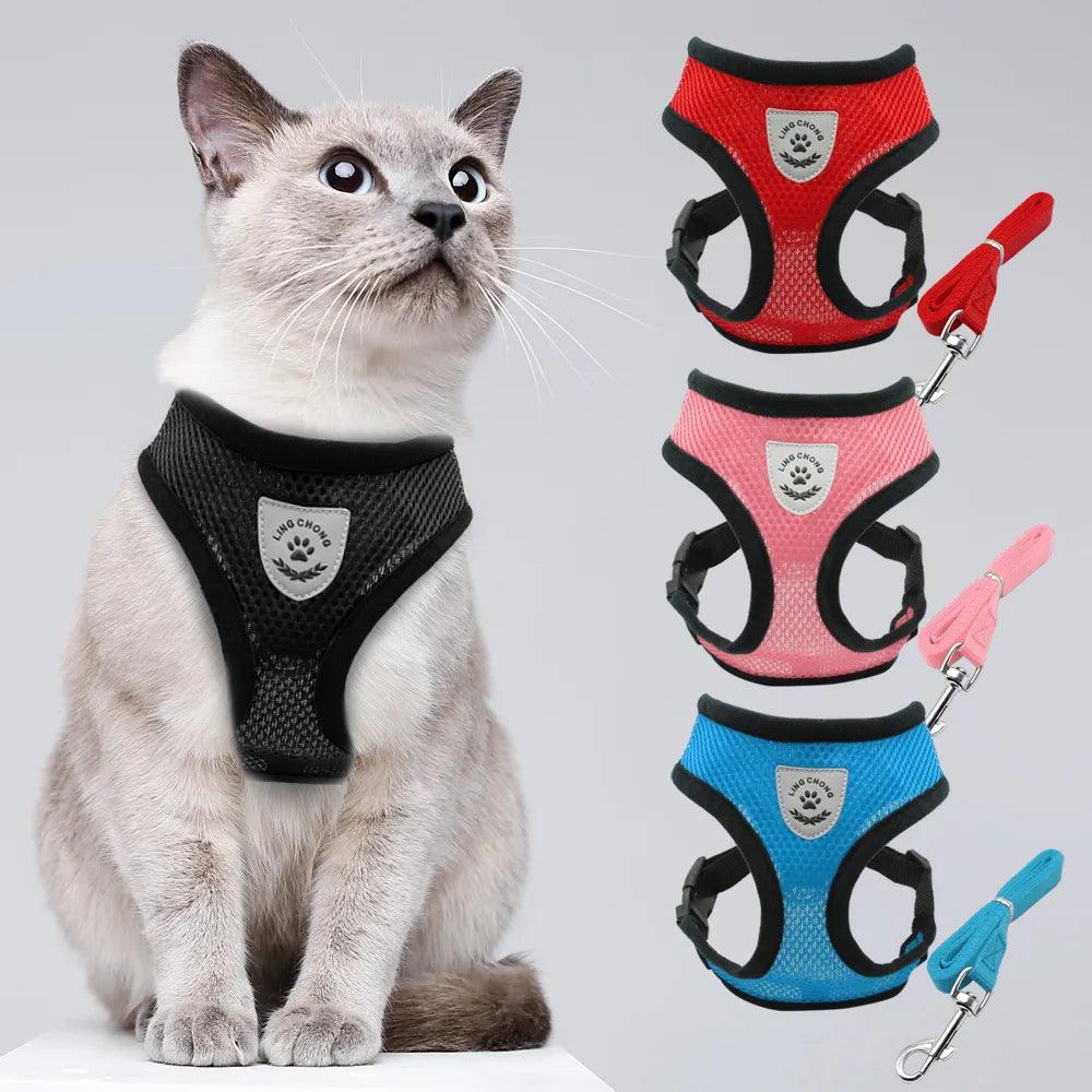 Netz-Katzen-Geschirr und die Leine