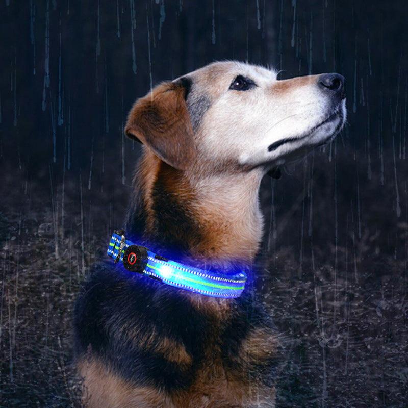 Wasserdichtes Glasfaserhalsband mit magnetischer Aufladung für Hunde