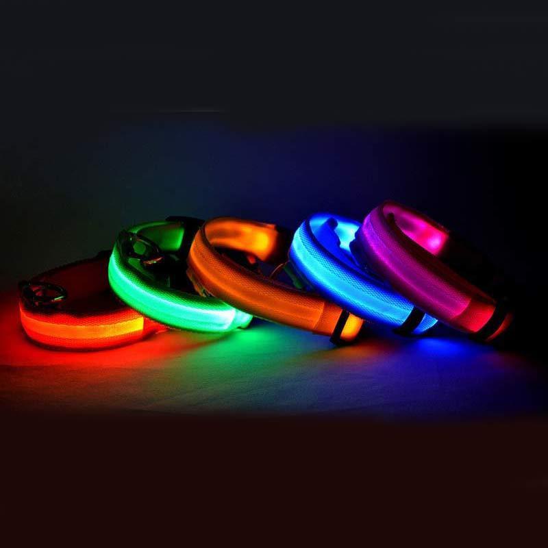 LED leuchtendes Hundehalsband