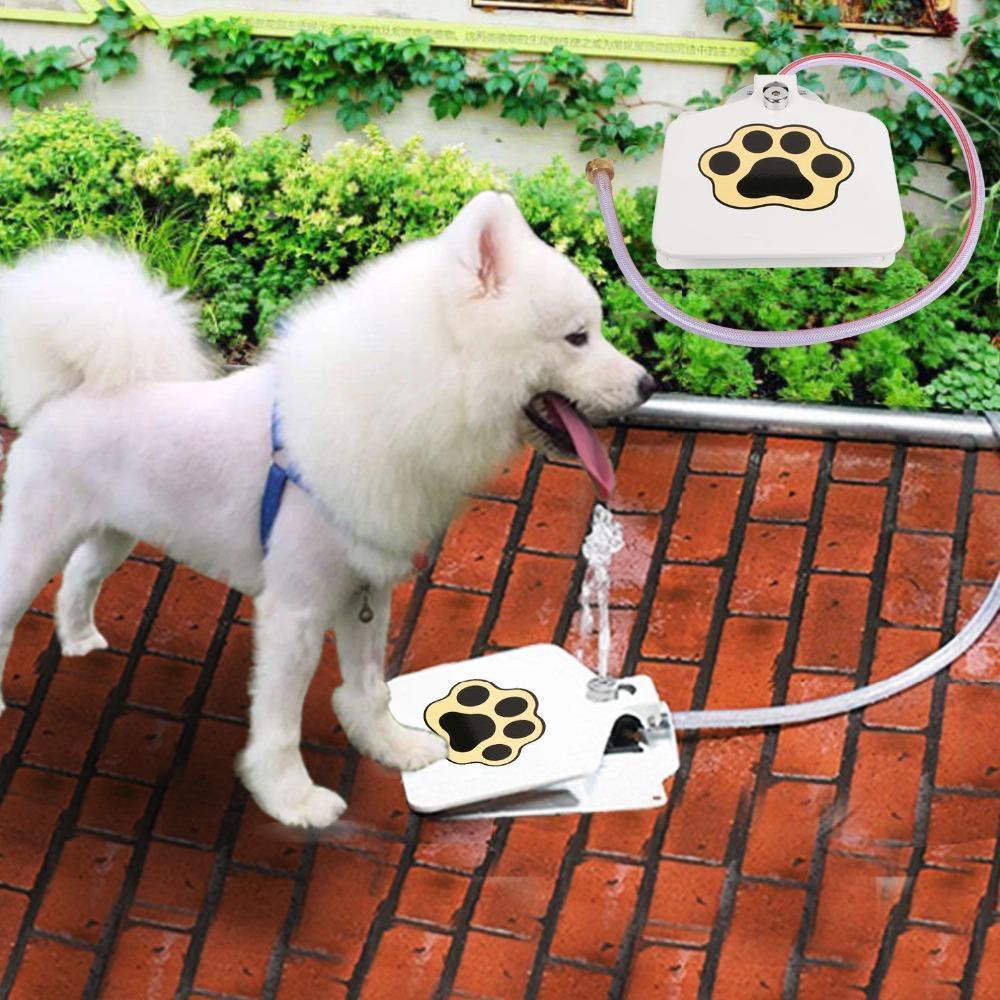 Wasserbrunnen für Hunde im Freien