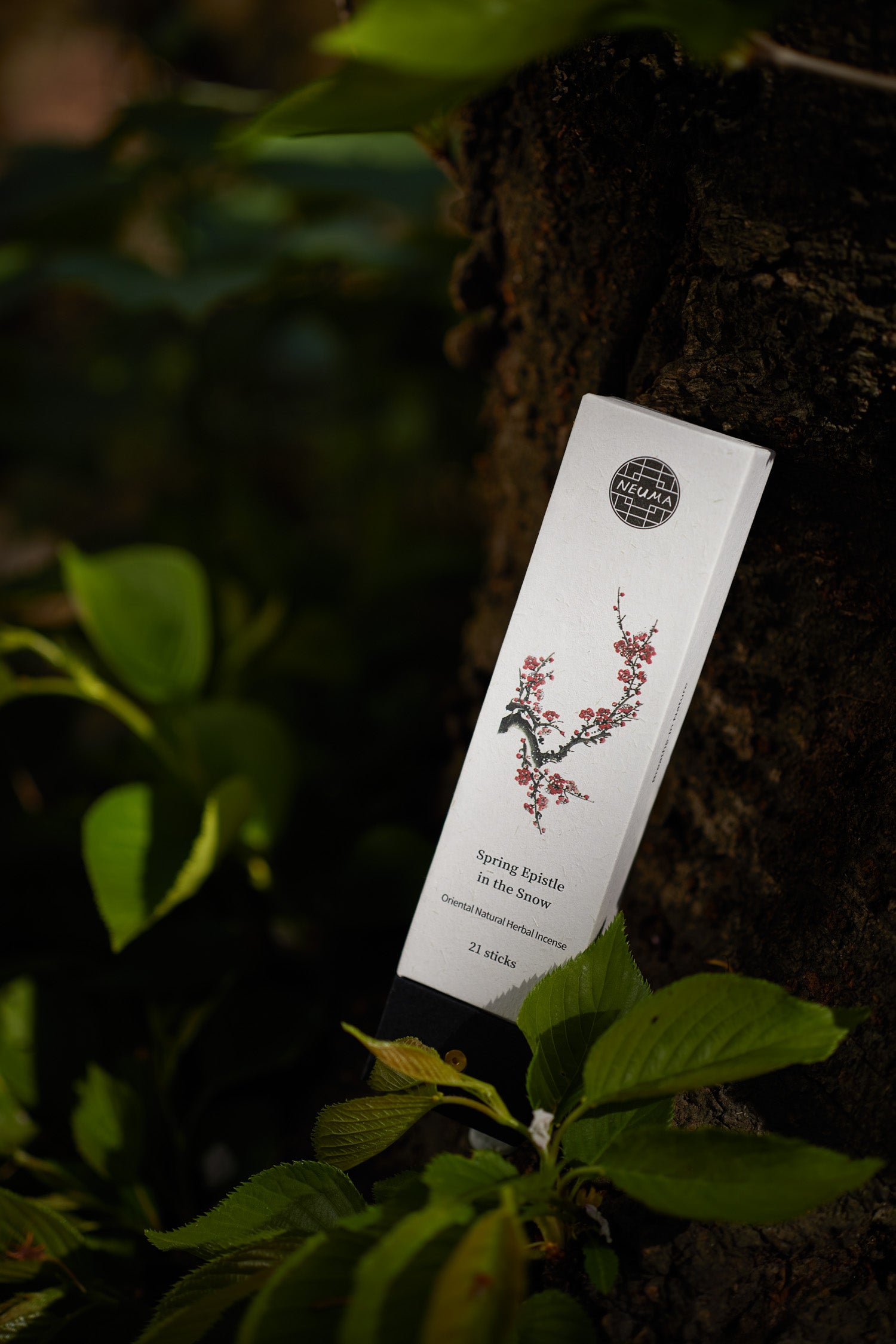 Spring Epistle in the Snow - Mini Box Incense Sticks