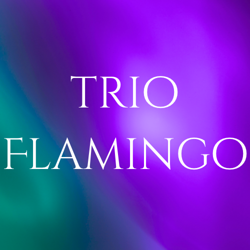 Trio Flamingo