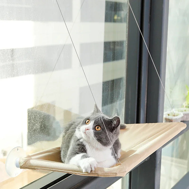 Comfortable Window Seat Mount Cat Hammock