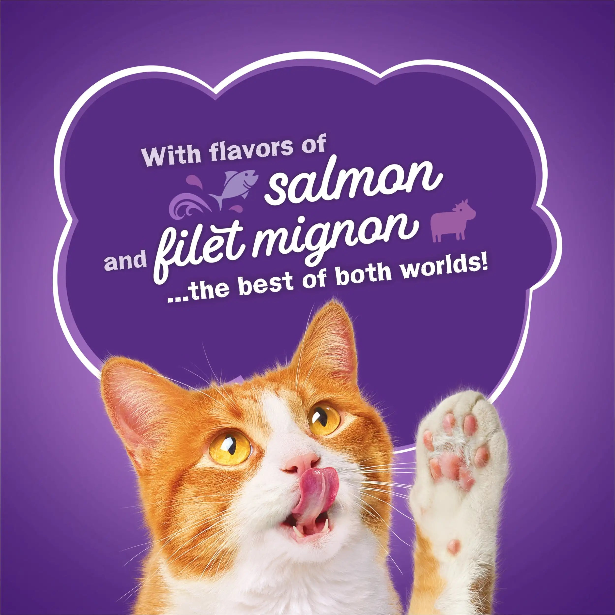 Friskies Dry Cat Food for Adult Cats & Kittens