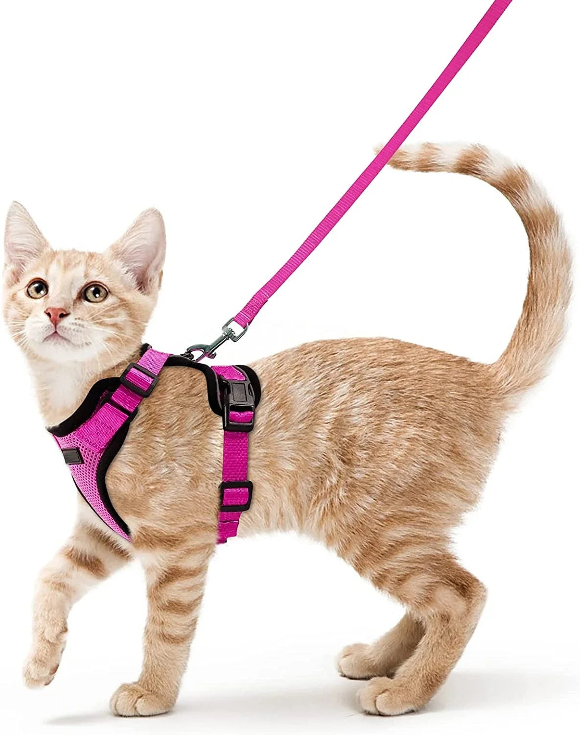 Adjustable Breathable Pet Harness with Reflective Trim