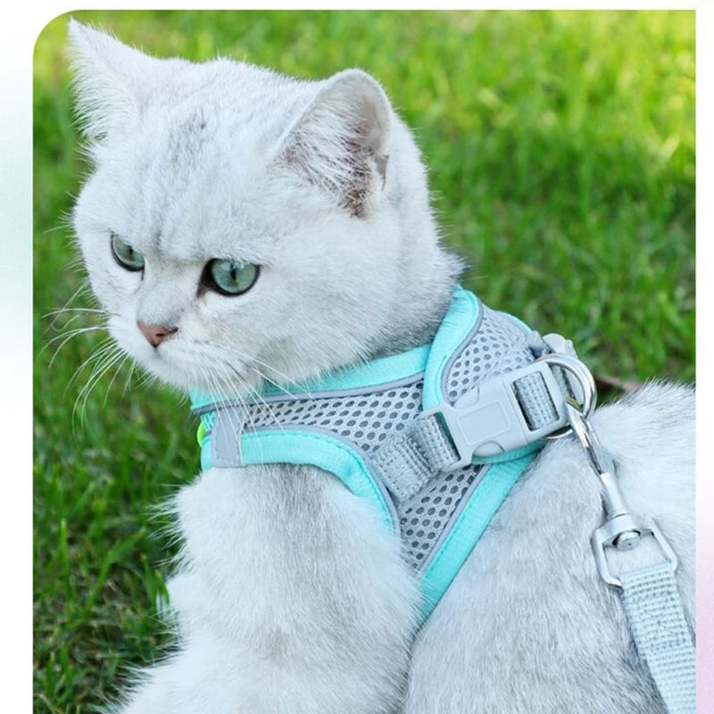 Soft and Comfort Cat Harness Leash Set