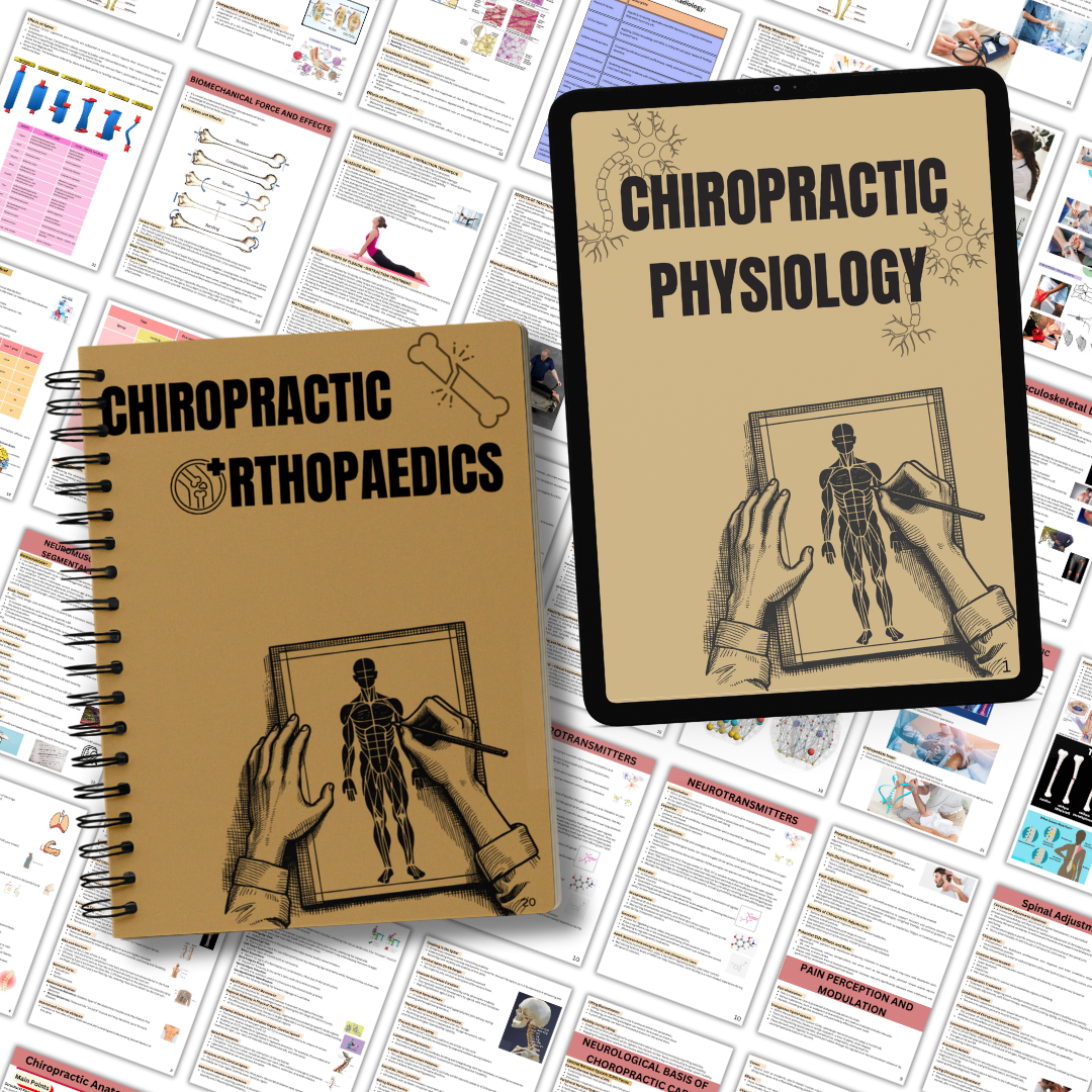 Chiropractic Physiology