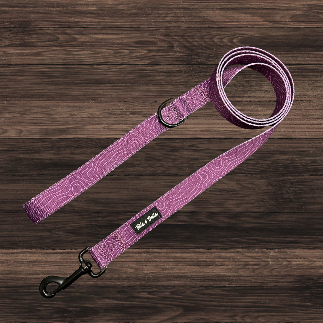 Elderberry Trail Leash