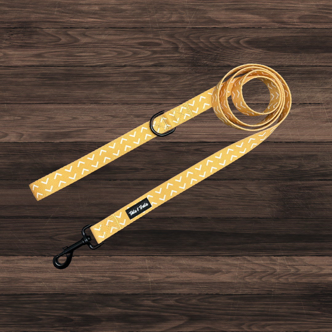 Arrowhead Trail Leash