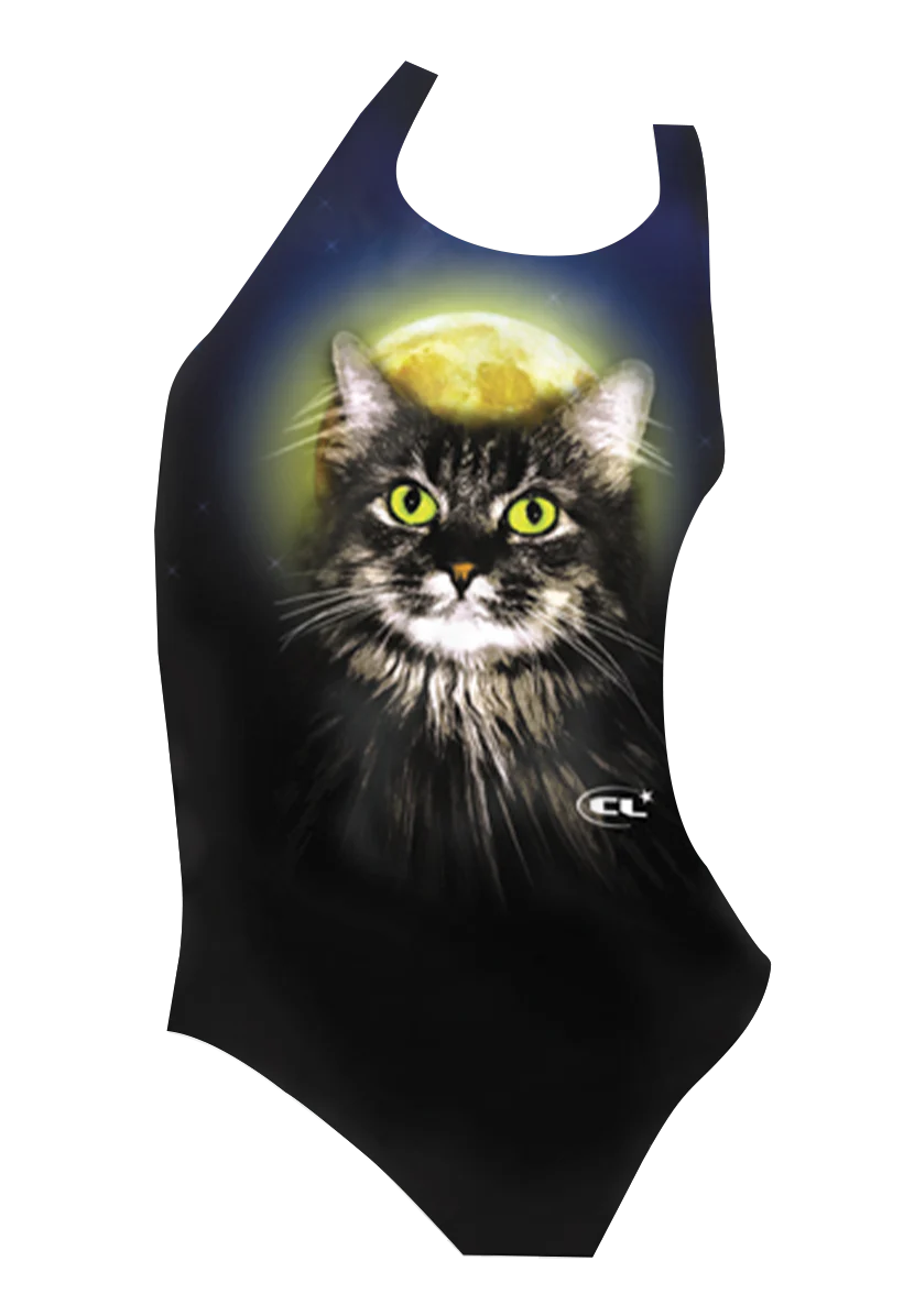 Ziggy_the_Cat