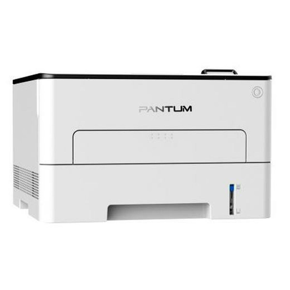 Laser Printer Pantum P3305DW