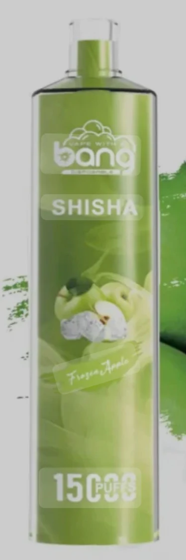 ShiSha 15000 bouffées - Goût Pomme Givrée